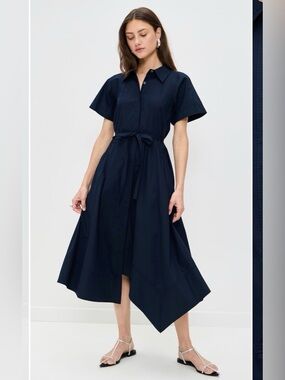 ALC Julianna Dress size 12